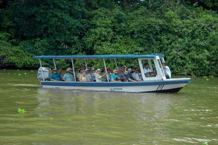 Tortuguero Canals Tour and Puerto Limon Highlights - Photo 1 of 25